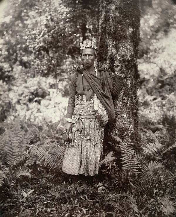 Product image A lama.