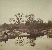 Product Barbizon, albumine, années 1870. thumbnail