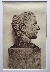 Product Buste de Drusus Germanicus. thumbnail
