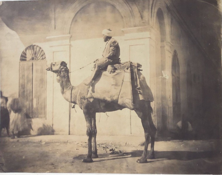 Image du produit Chamelier dans les rues du Caire.