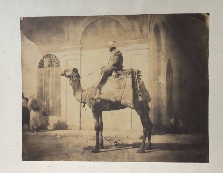Image du produit Chamelier dans les rues du Caire.