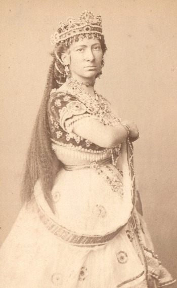 Illustration du produit