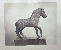 Product Horse. Sculpture. thumbnail