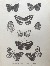 Product Chine. Lépidoptères. 1876. thumbnail