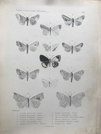 Product illustration