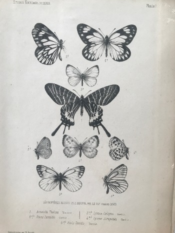 Product illustration
