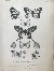 Product Chine. Lépidoptères. 1876. thumbnail