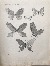 Product Chine. Lépidoptères. 1876. thumbnail