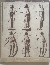 Product Costumes byzantins. Collection Charles Nègre. thumbnail