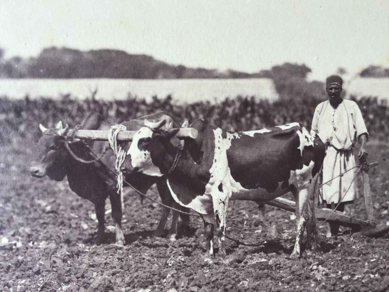 Product image Egypte. 1865.