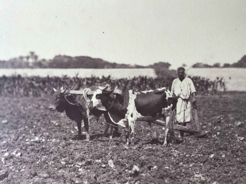 Product image Egypte. 1865.