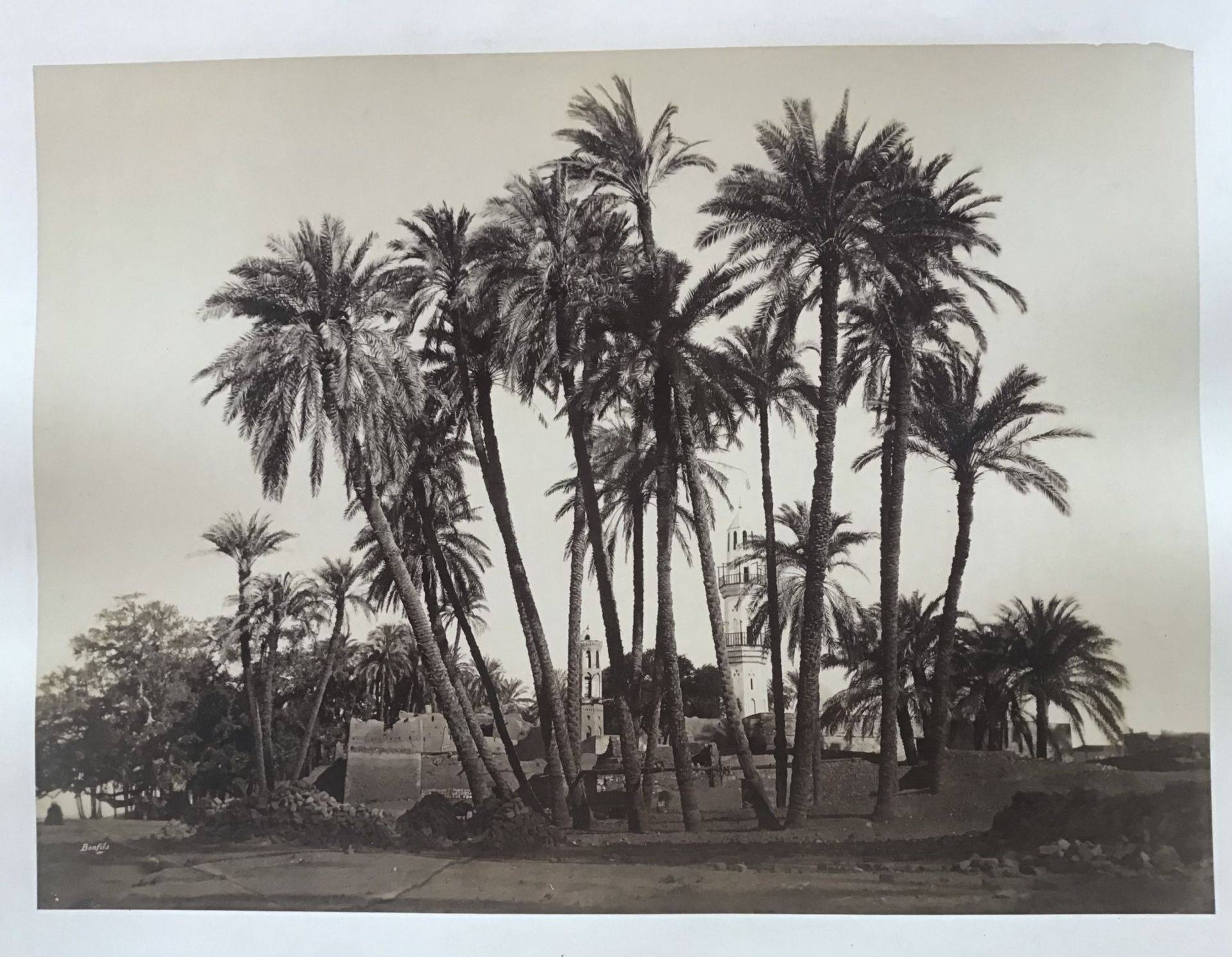 Product Egypte. Antinoé. Palmiers de Cheik Abebdeh. thumbnail