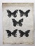 Product Essai d'impression. Papillons. thumbnail