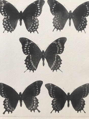Product illustration