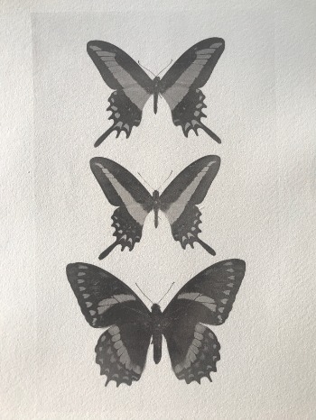 Illustration du produit