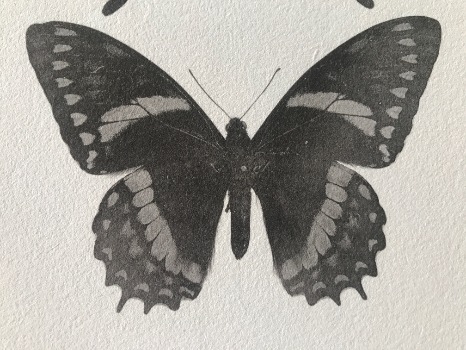 Illustration du produit