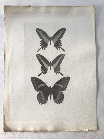 Illustration du produit