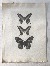 Miniature du produit Essai d'impression. Papillons.