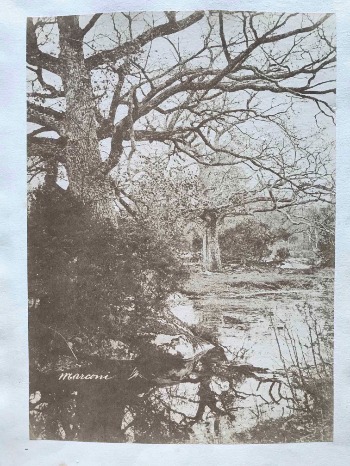 Illustration du produit