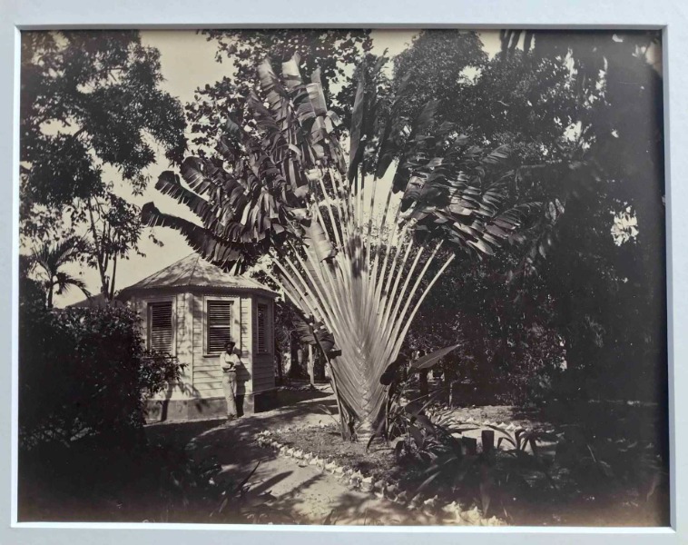 Product image Fort de France. Martinique.