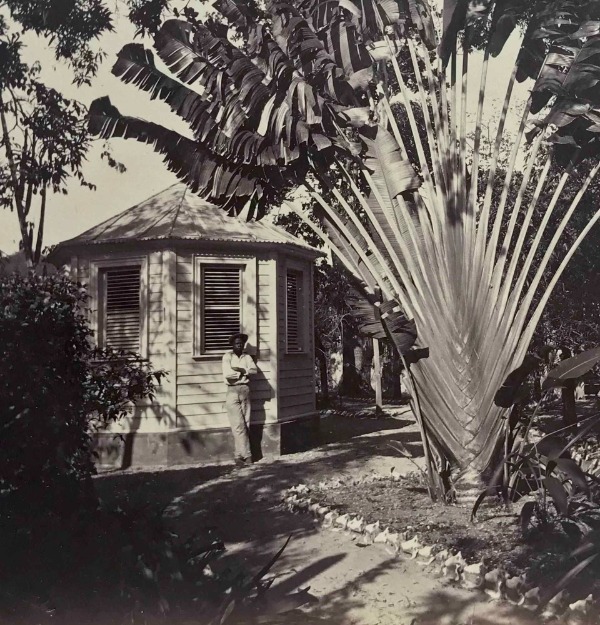 Product image Fort de France. Martinique.
