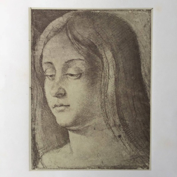 Image du produit Gentile Bellini.