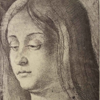 Illustration du produit