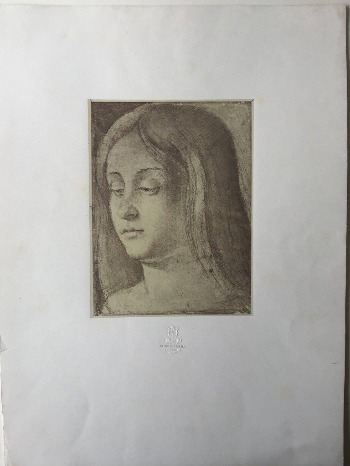 Illustration du produit
