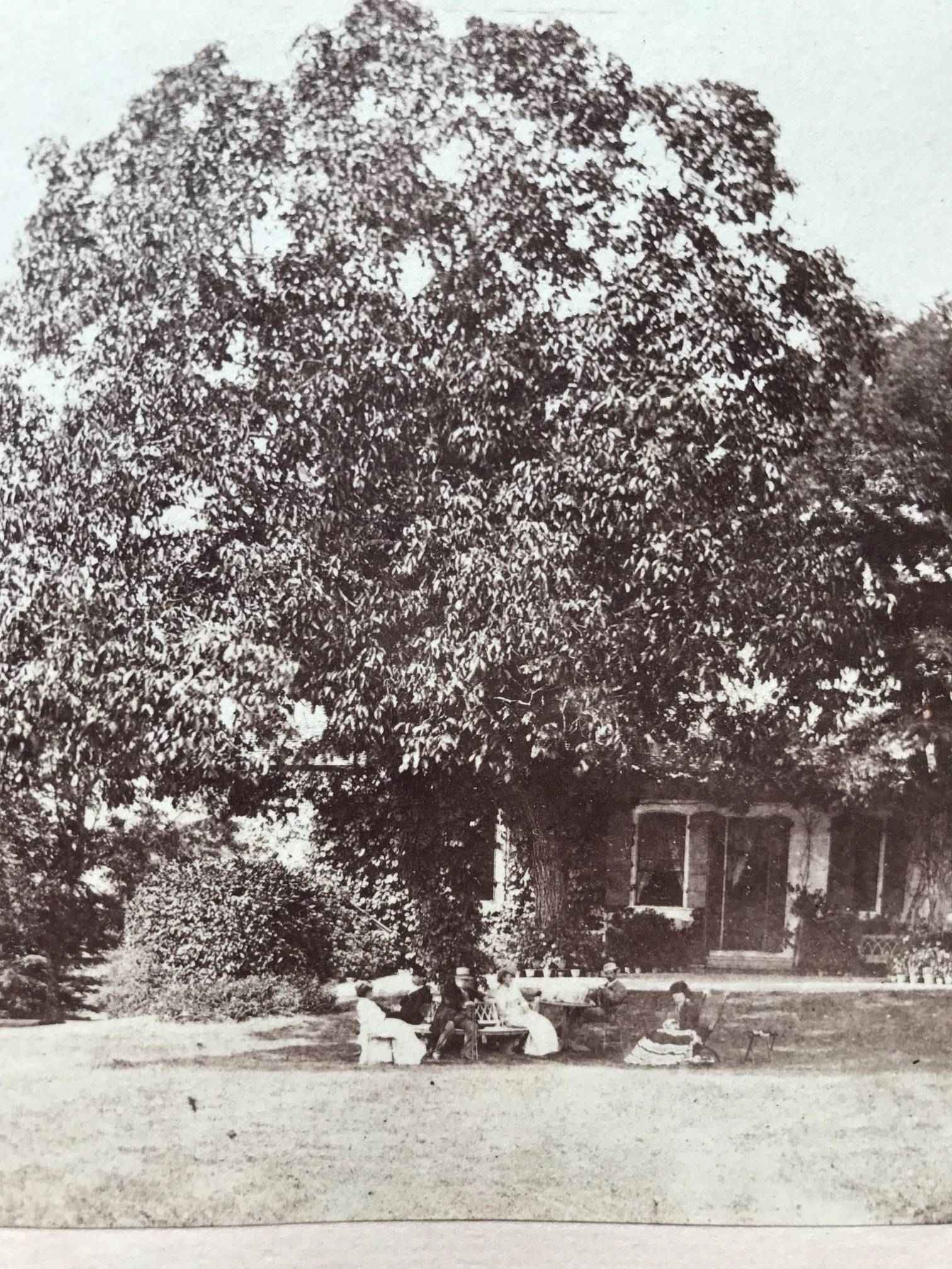Miniature du produit Lausanne. 3 photographies à l'albumine vers 1860