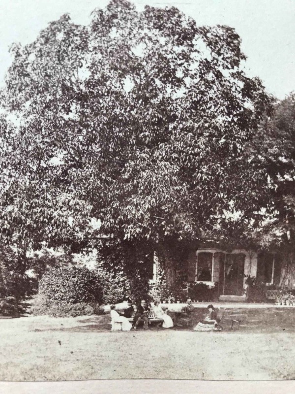 Image du produit Lausanne. 3 photographies à l'albumine vers 1860