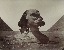 Miniature du produit Le Sphinx.