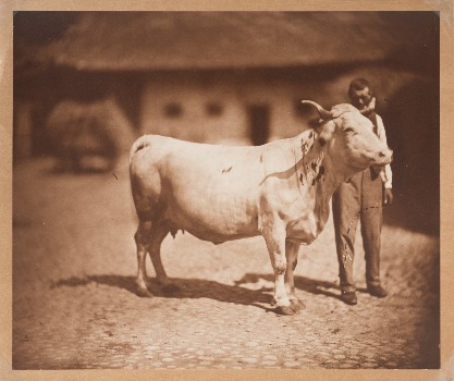 Illustration du produit
