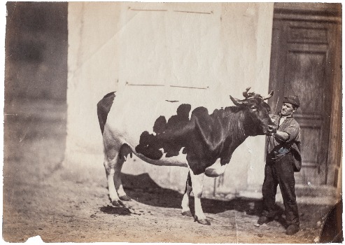Illustration du produit
