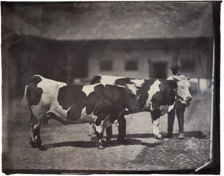 Illustration du produit