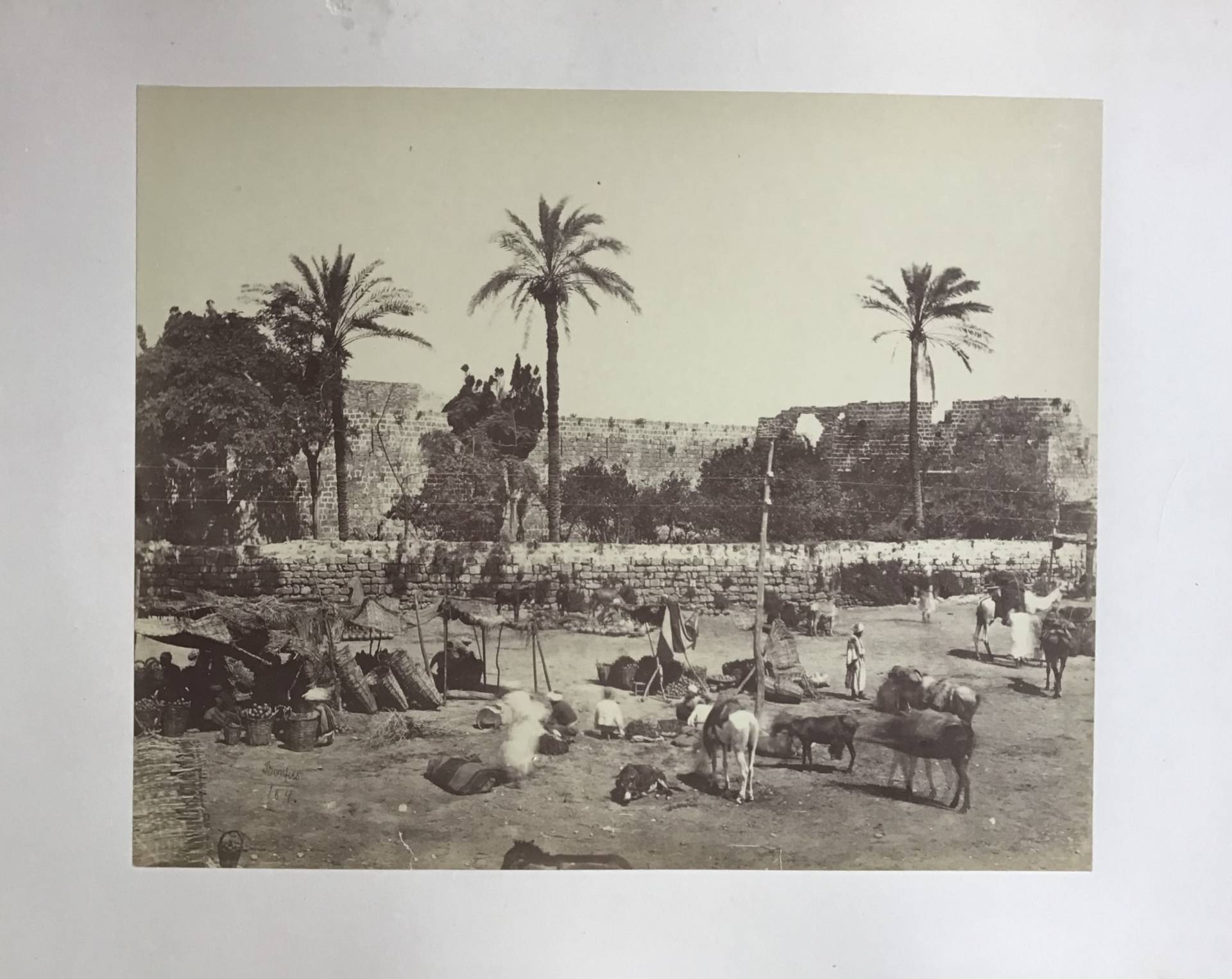 Product Marché en Egypte. thumbnail