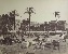 Product Marché en Egypte. thumbnail