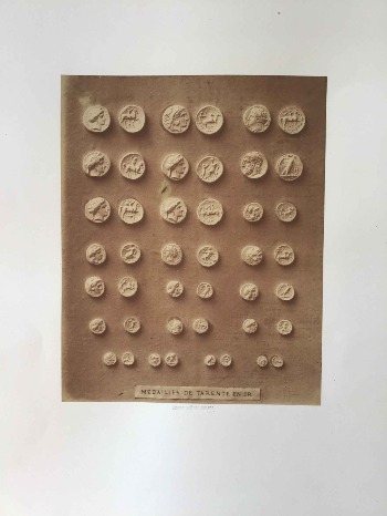 Illustration du produit