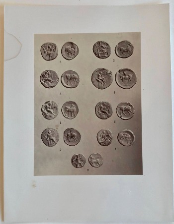 Illustration du produit