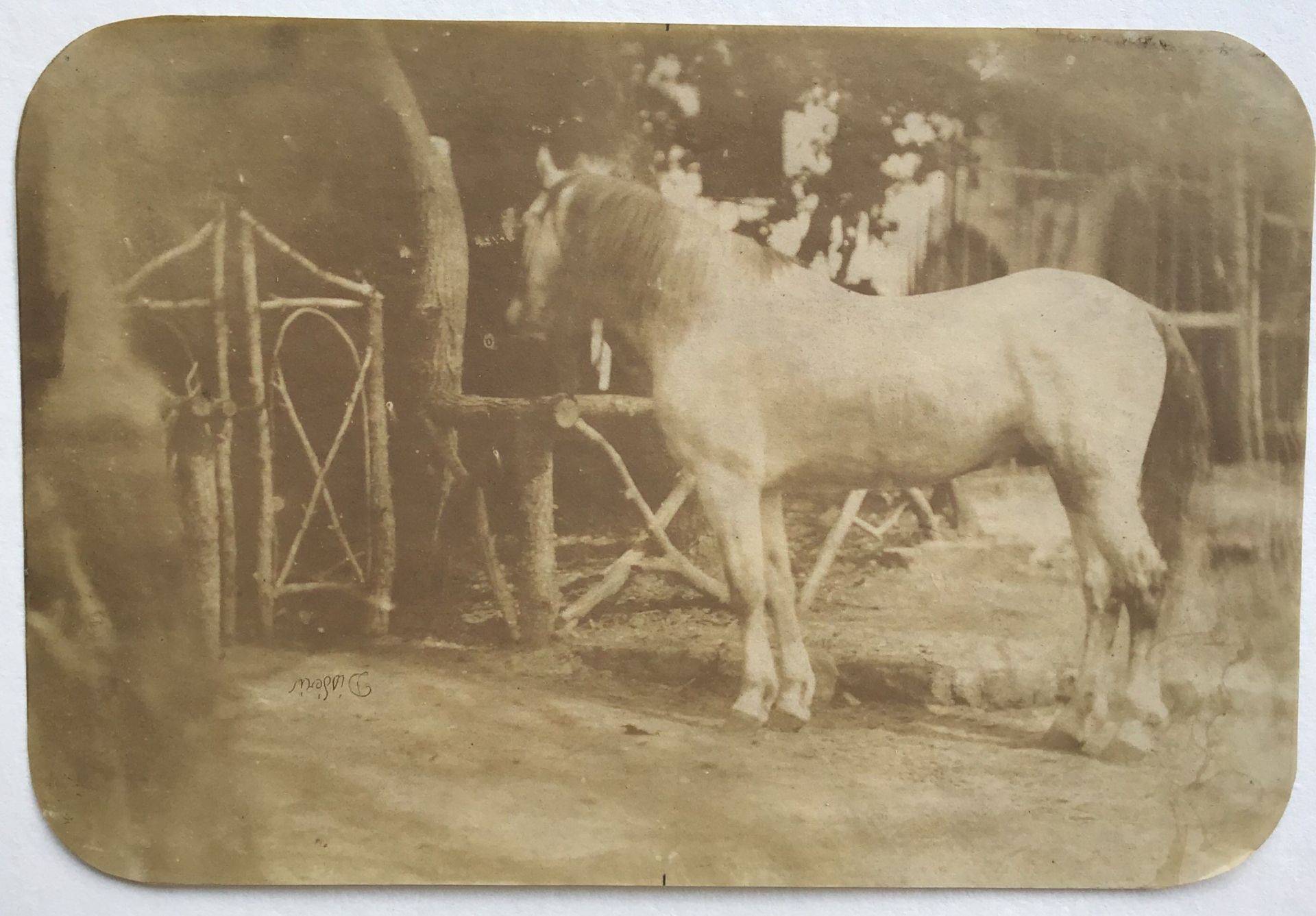 Miniature du produit Nîmes. 1853. Instantané.