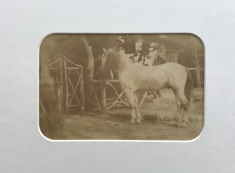 Illustration du produit