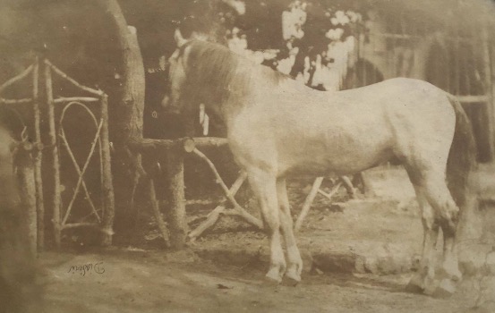 Illustration du produit