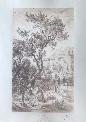 Illustration du produit