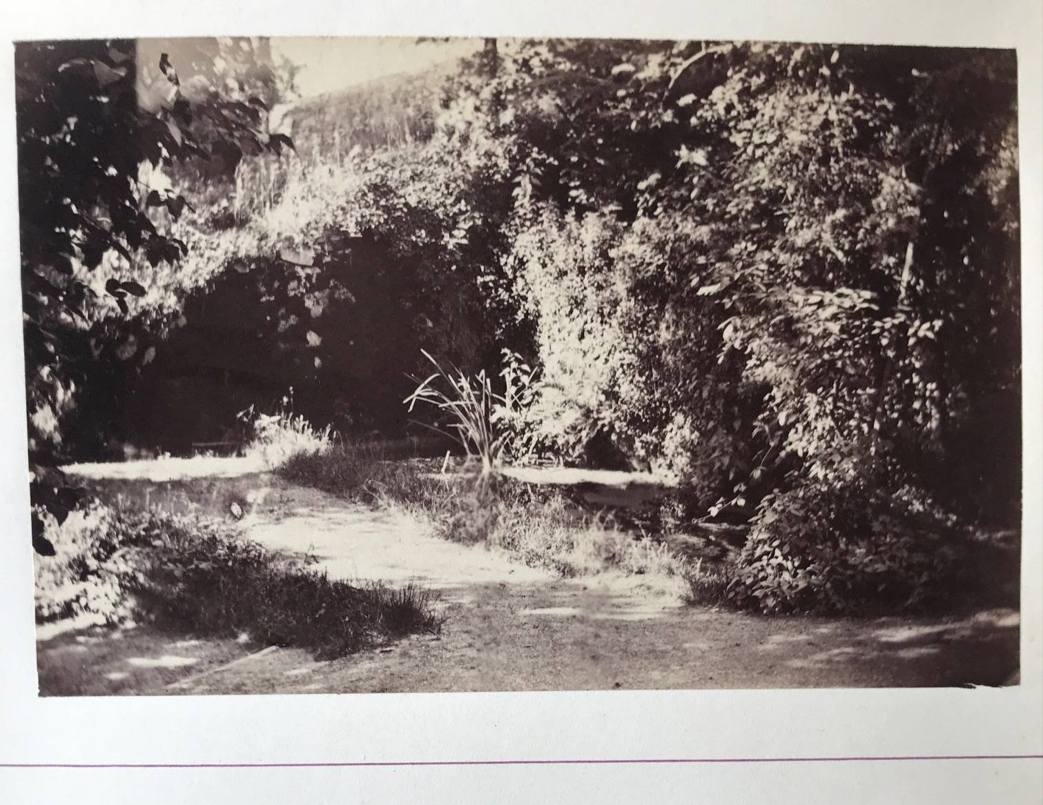 Product Parc au paysages bucoliques. Ensemble de 8 photographies. thumbnail