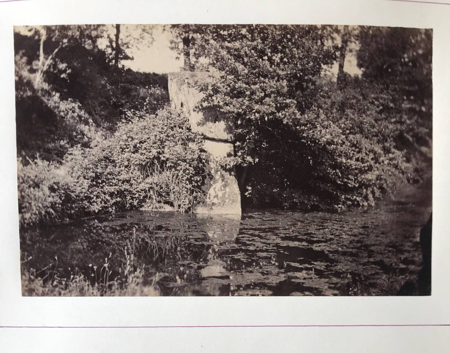 Product Parc au paysages bucoliques. Ensemble de 8 photographies. thumbnail