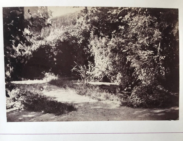 Product image Parc au paysages bucoliques. Ensemble de 8 photographies.