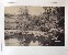 Product Parc au paysages bucoliques. Ensemble de 8 photographies. thumbnail