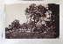 Product Parc au paysages bucoliques. Ensemble de 8 photographies. thumbnail