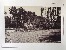 Product Parc au paysages bucoliques. Ensemble de 8 photographies. thumbnail