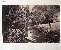 Product Parc au paysages bucoliques. Ensemble de 8 photographies. thumbnail