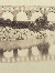 Product Pont du Gard. thumbnail
